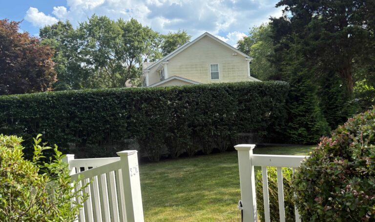 Bush triming Narragansett 3