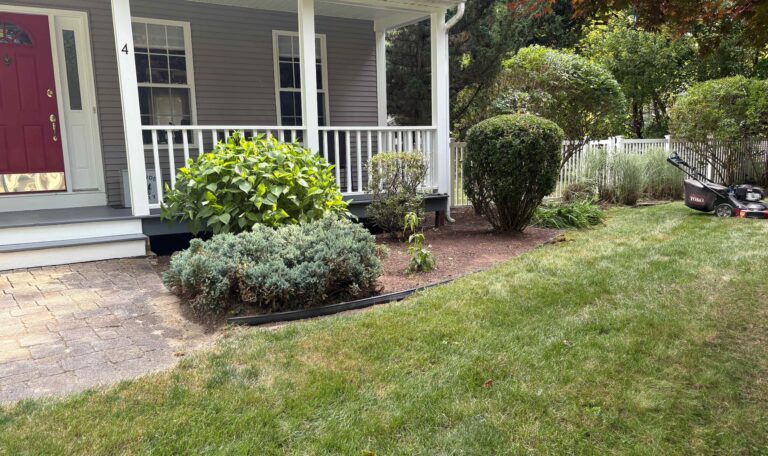 Bush triming Narragansett 6