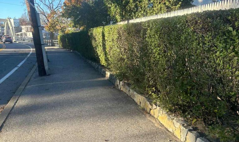 Bush triming North Kingstown 1