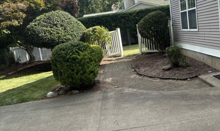 Bush triming North Kingstown 5