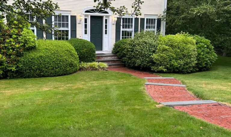 Bush triming North Kingstown 7