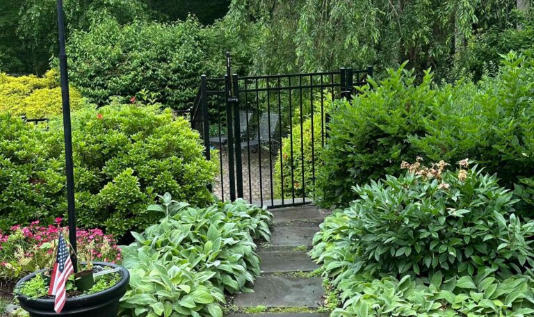 Bush triming North Kingstown 9