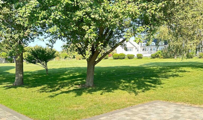 Cleanup South Kingstown 1