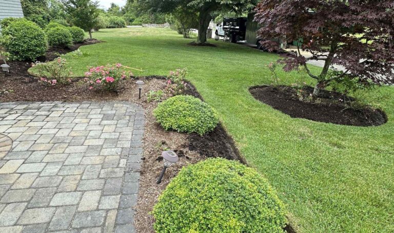 Cleanup South Kingstown 5