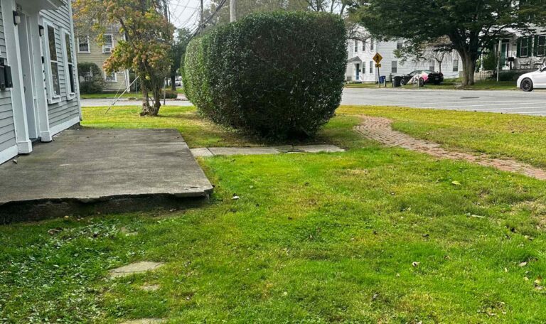 Cleanup South Kingstown 7