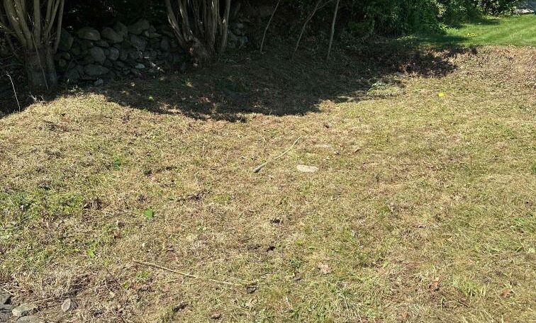 Narragansett clean up 10