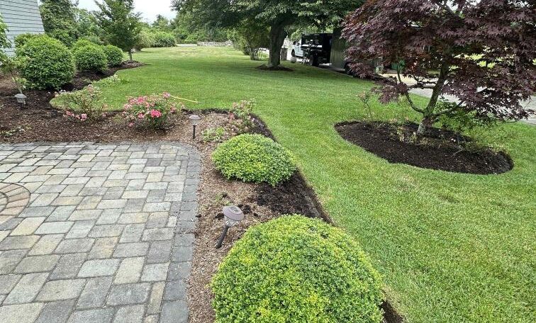 Narragansett clean up 12