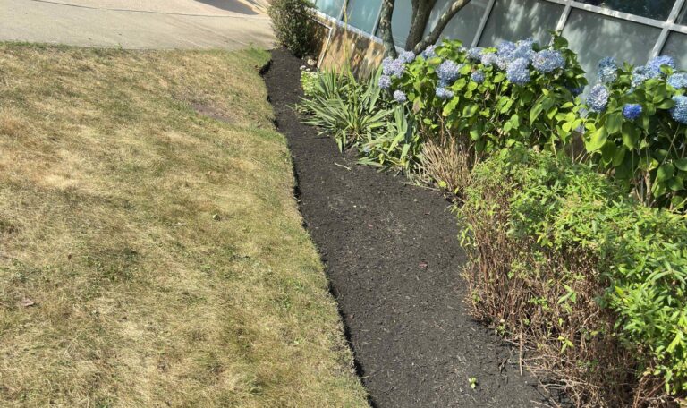 Narragansett clean up 16