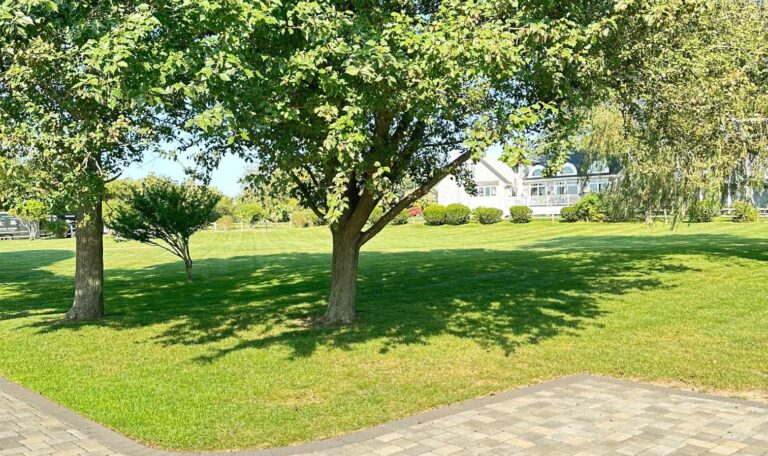 Narragansett clean up 4