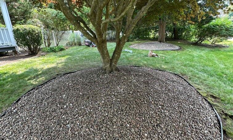 Narragansett clean up 7