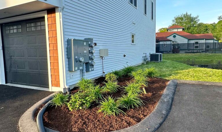 leveling Shout Kingstown 2