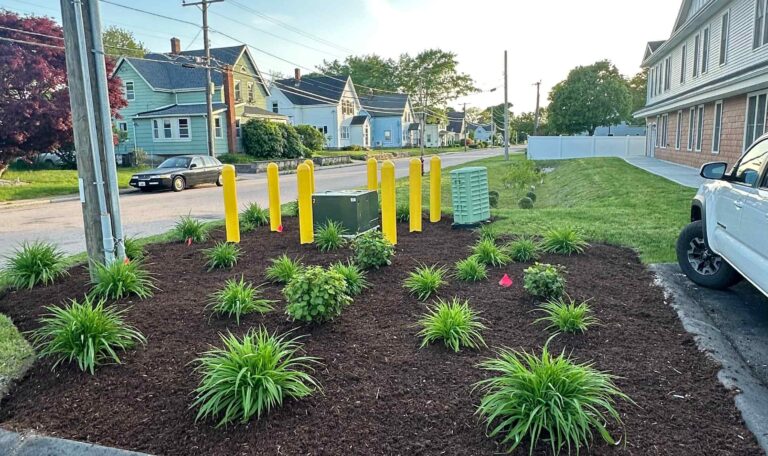 leveling Shout Kingstown 3