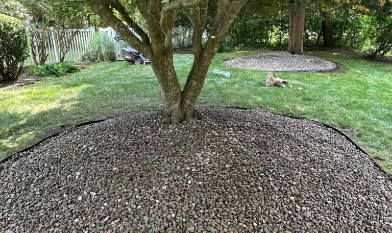 leveling Shout Kingstown 6